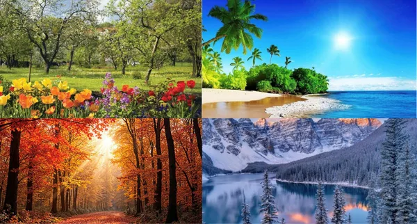 The Four Seasons of Strength. Which one are you in?